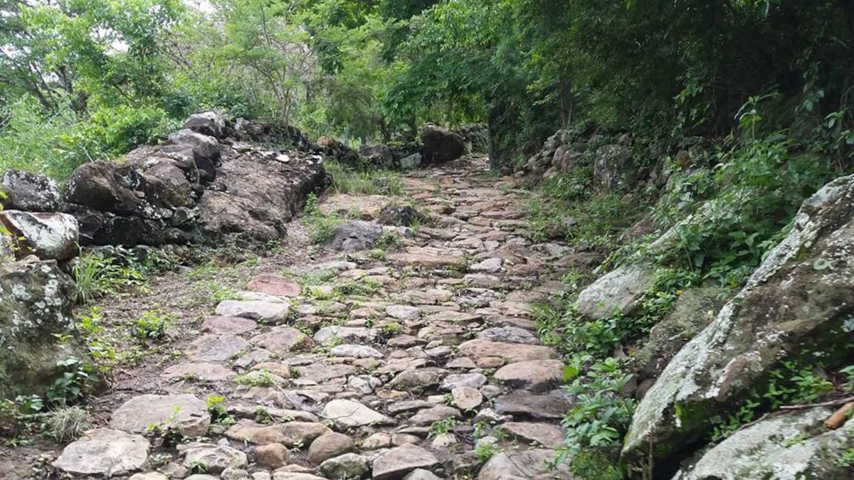 Suministrada/Vanguardia
