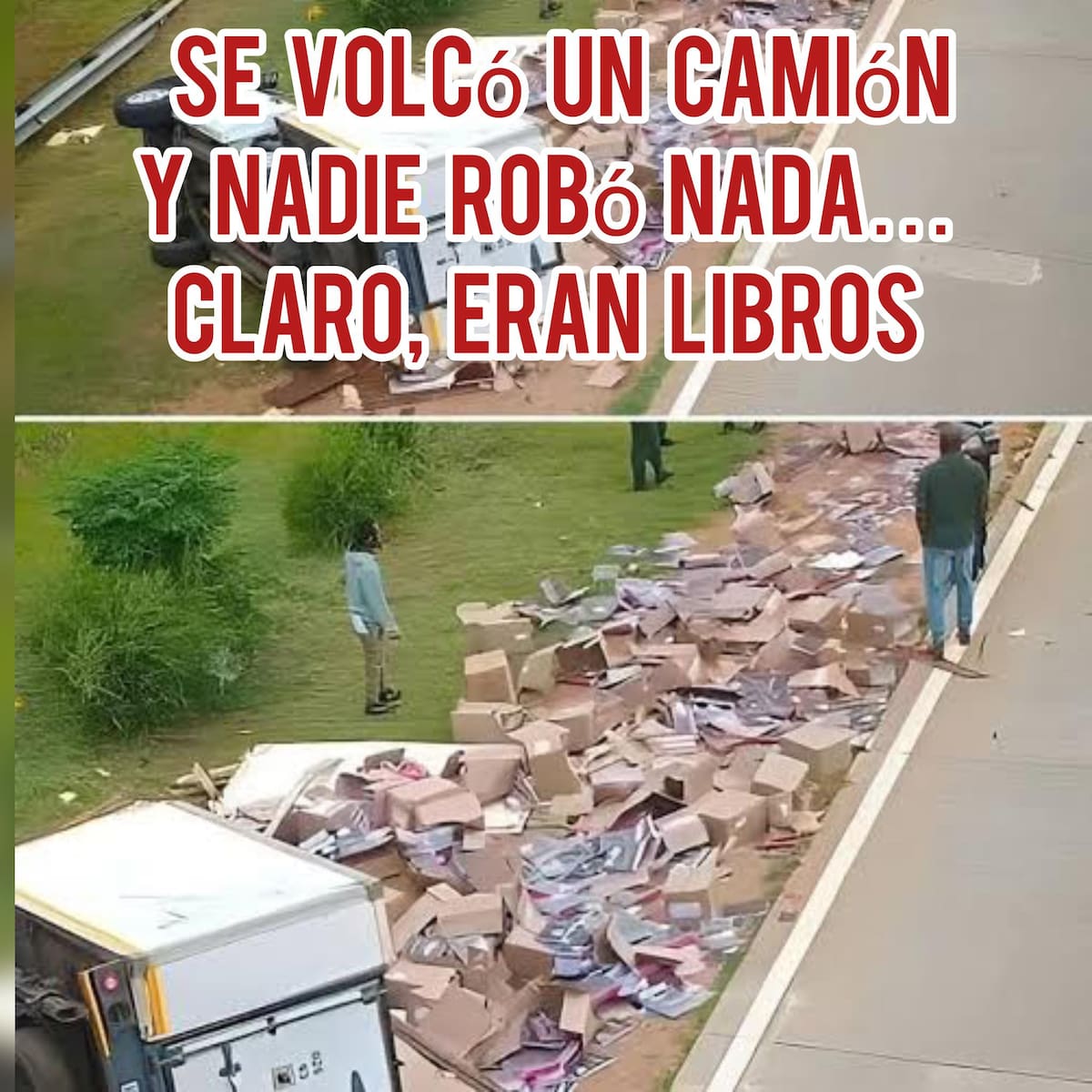 El accidente de camión con libros evidenció un contraste con otros casos similares y provocó reflexiones sobre las prioridades sociales de los habitantes de la región.