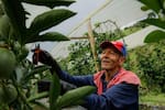 Economía de la Mutualidad, el modelo donde todos ganan: ¿en qué consiste y qué beneficios trae?