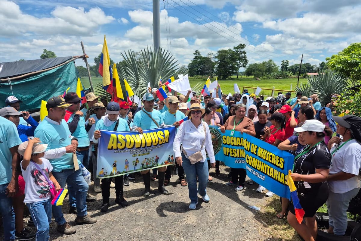 Organizaciones campesinas de Sabana de Torres esperan que los predios recuperados por la Agencia Nacional de Tierras sean destinados a proyectos agrícolas y de producción de alimentos.
Suministrada/Vanguardia