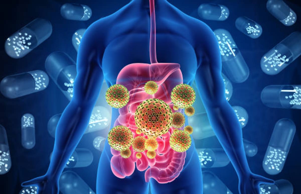 Los investigadores analizaron muestras orales y fecales de 507 voluntarios para estudiar la relación entre el microbioma y el cáncer gastrointestinal.