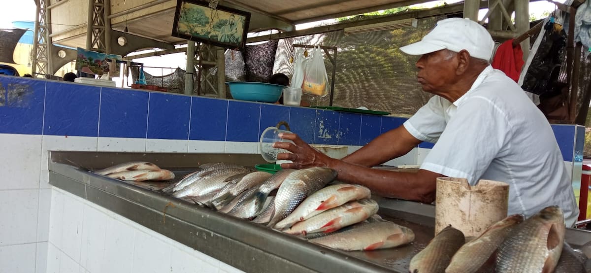 El bajo nivel del agua en el Caño Cardales dificulta el tránsito de canoas hacia el mercado pesquero de Barrancabermeja, afectando la actividad comercial y el transporte de productos provenientes del río Magdalena.
Suministrada/Vanguardia