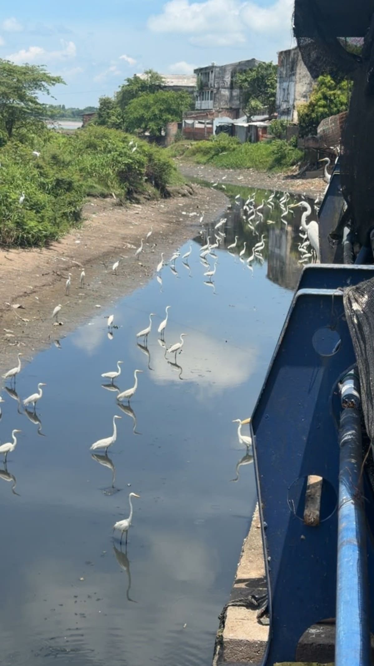 El bajo nivel del agua en el Caño Cardales dificulta el tránsito de canoas y chalupas hacia el mercado pesquero de Barrancabermeja, afectando la actividad comercial y el transporte de productos provenientes del río Magdalena.
Suministrada/Vanguardia