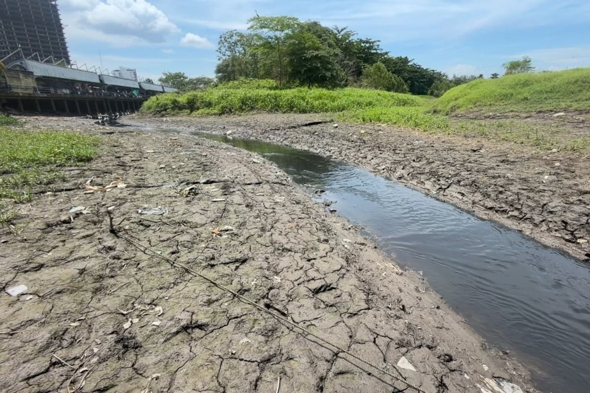 El bajo nivel del agua en el Caño Cardales dificulta el tránsito de canoas y chalupas hacia el mercado pesquero de Barrancabermeja, afectando la actividad comercial y el transporte de productos provenientes del río Magdalena.
Suministrada/Vanguardia