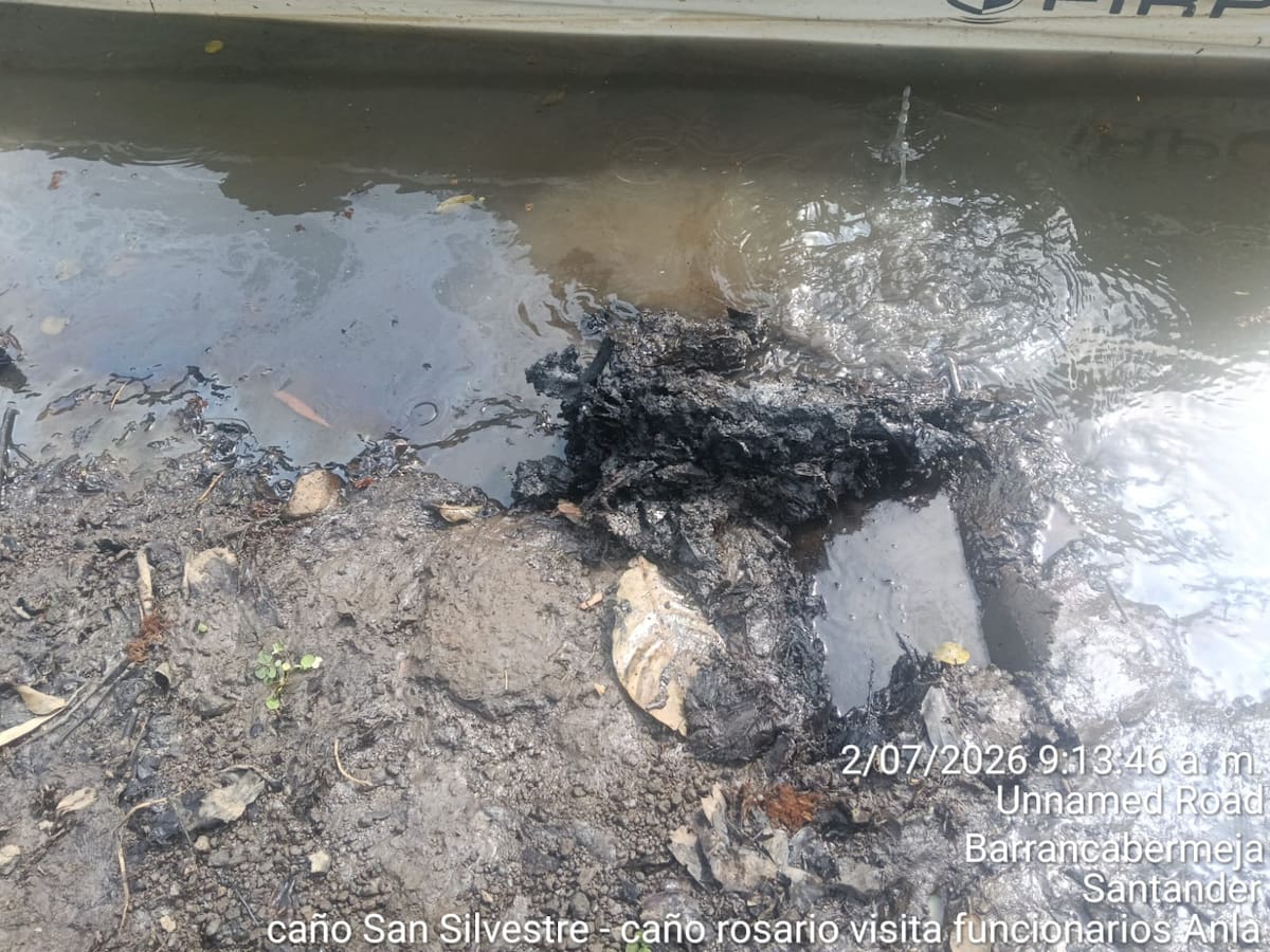 Fedepesan denunció la muerte de varios búfalos en los sectores de Caño Rosario y Caño San Silvestre y solicitó a las autoridades ambientales y sanitarias realizar inspecciones y análisis de agua y lodos para establecer las causas del hecho.
Suminstrada