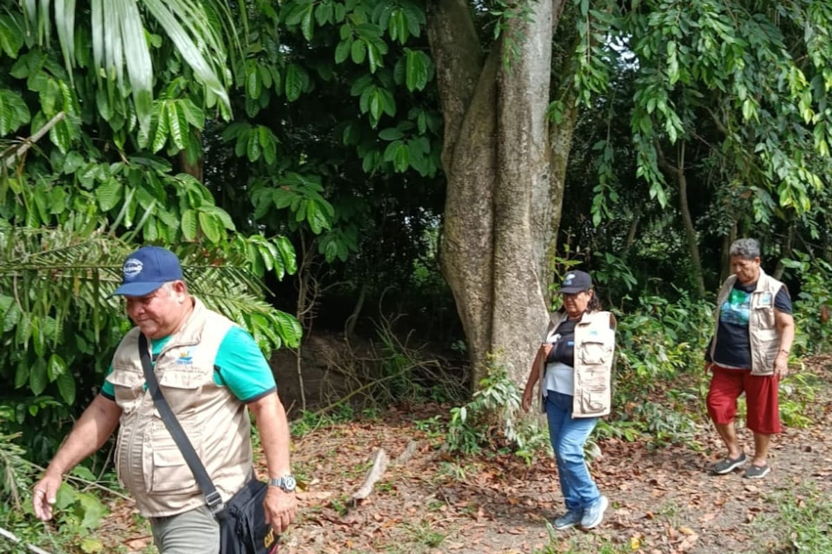 Fedepesan denunció la muerte de varios búfalos en los sectores de Caño Rosario y Caño San Silvestre y solicitó a las autoridades ambientales y sanitarias realizar inspecciones y análisis de agua y lodos para establecer las causas del hecho.
Suminstrada