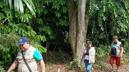 Muerte de búfalos en caños de Barrancabermeja enciende nueva alerta ambiental