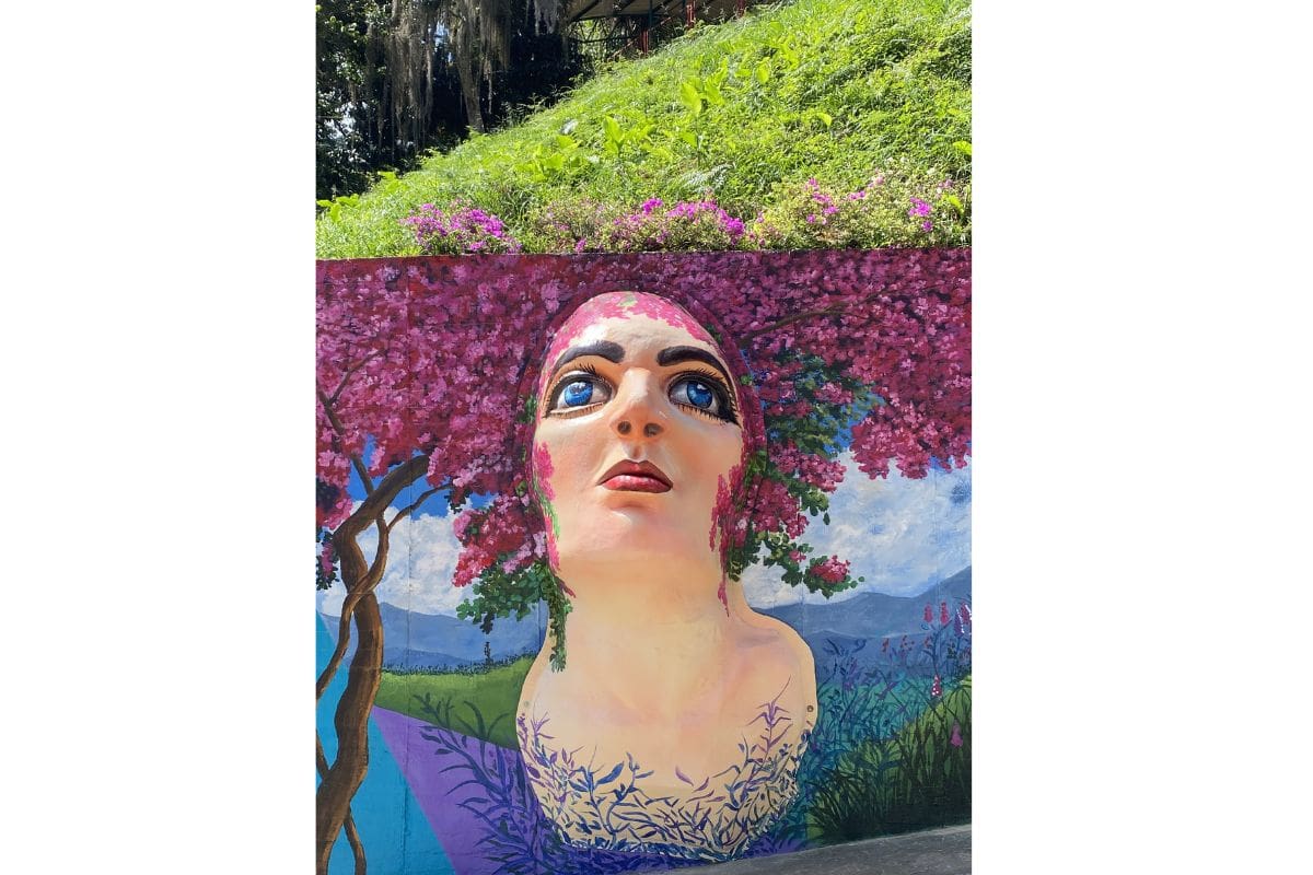 Suministrada (Alcaldía de Aratoca)/Vanguardia