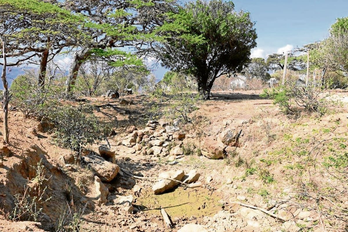 Los habitantes de Capitanejo han soportado temperaturas superiores a los 40 °C.