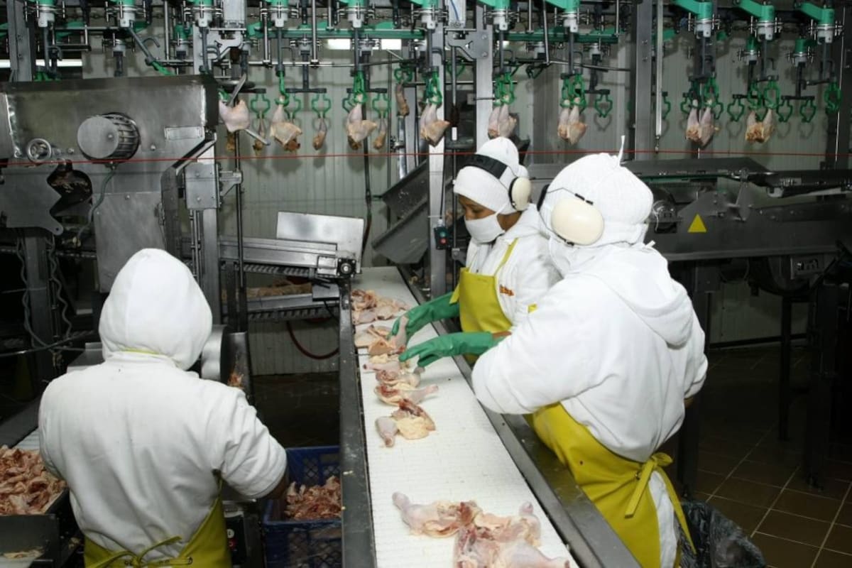 Cargill se convierte en un actor importante en la producción de pollo en el país con la compra de Pollos Bucanero y Campollo, dos marcas reconocidas en el territorio nacional. (Foto: Archivo/VANGUARDIALIBERAL)