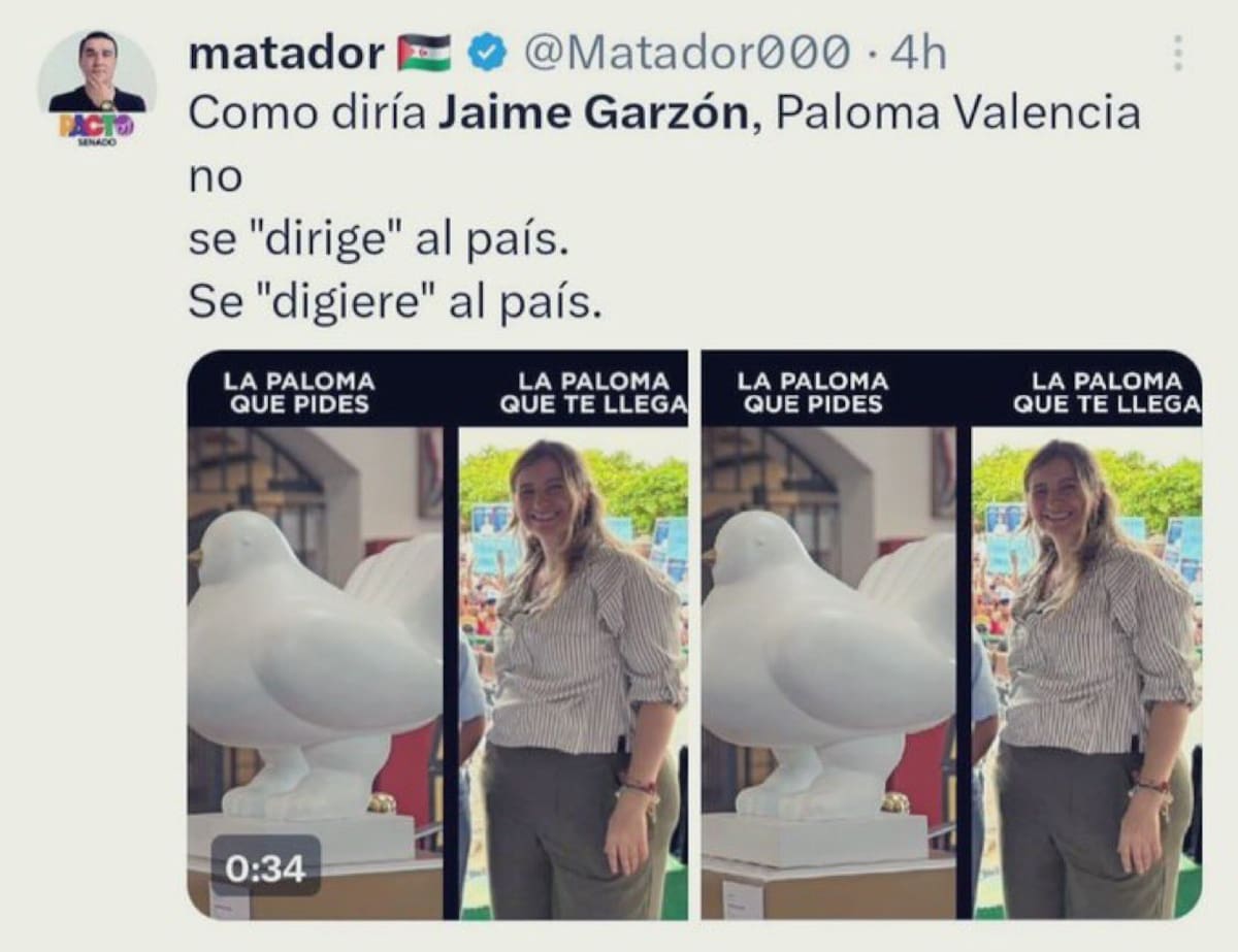 l Centro Democrático radicará una denuncia formal ante el CNE contra el candidato al Senado del Pacto Histórico Julio César González conocido como “Matador”, por sus comentarios misóginos contra Paloma Valencia, confirmó el director de la colectividad, Gabriel Vallejo.