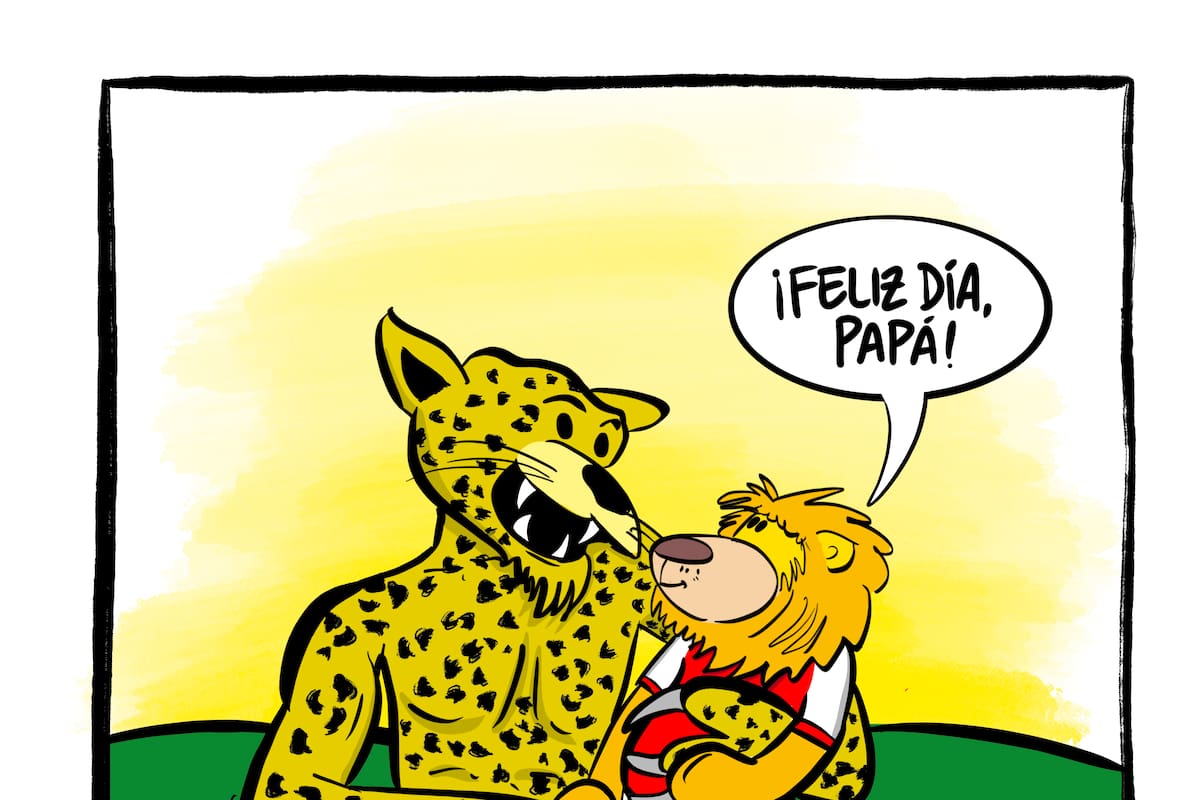 En caricaturas: el camino de Atlético Bucaramanga hasta su primer grito de campeón. Caricatura: Cortesía Diego García / Diego Caricatura.