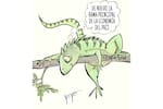 La empresa de ‘todos’ los colombianos