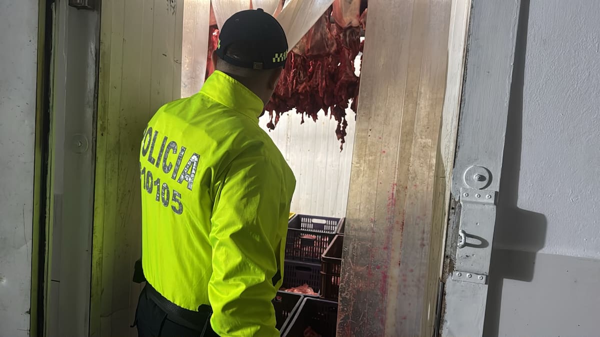 Carne de caballo en Bucaramanga: así operaba la red desarticulada por las autoridades.
