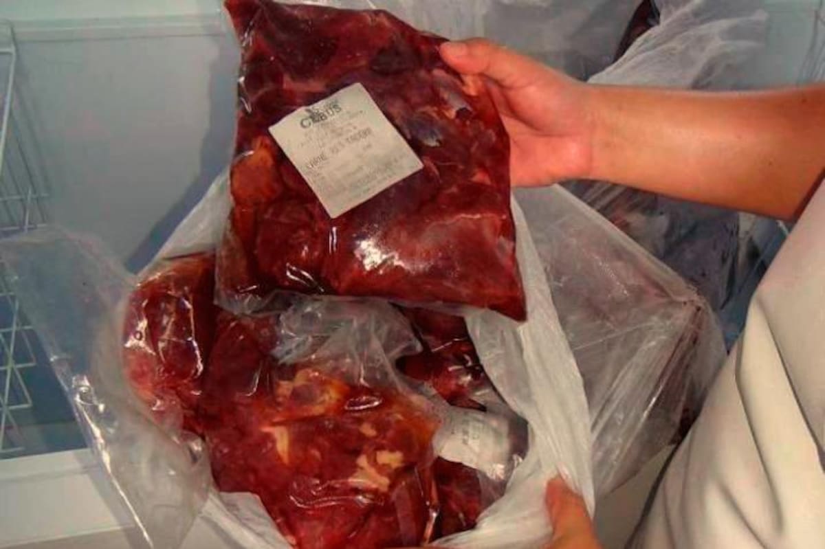 Uno de los principales controles sanitarios consiste en verificar que los animales no hayan recibido medicamentos incompatibles con el consumo humano y que la carne esté libre de contaminación bacteriana. Archivo / VANGUARDIA