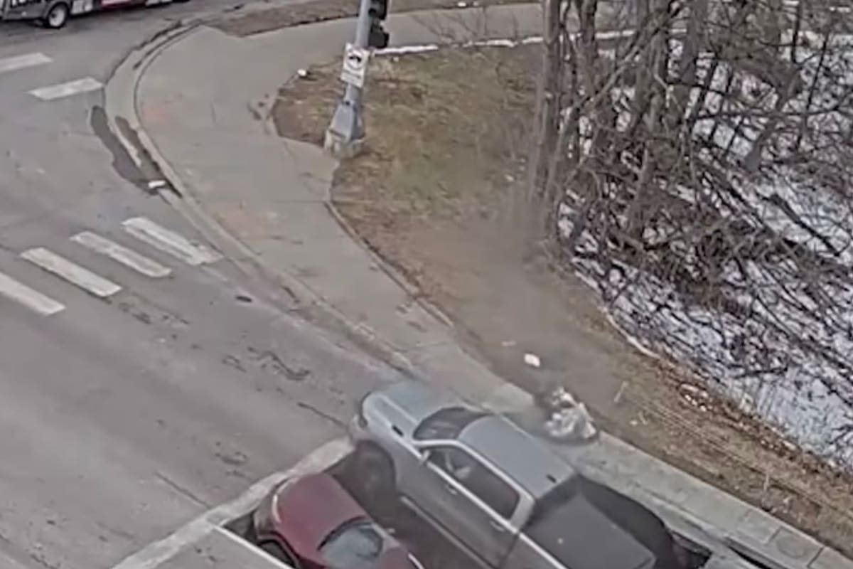 Momento captado por cámaras de seguridad del instante en que el pavimento cede y un enorme cráter se forma bajo dos autos en plena vía urbana de Omaha, sin que sus ocupantes resulten gravemente heridos.
Foto tomada de : Pantallazo de video en redes