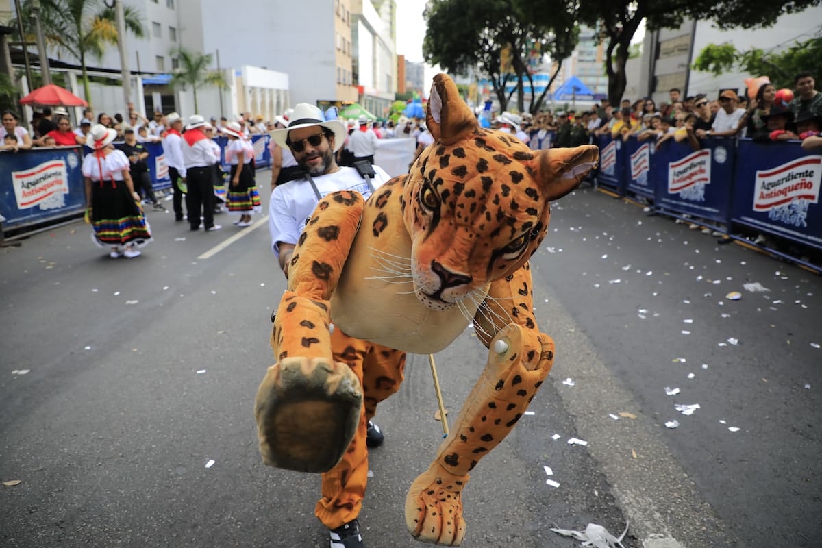 La propuesta, liderada por Julián Díaz Zambrano y la bióloga Laura María Méndez Angarita, llevó al desfile algunos de los símbolos naturales de Santander y es un abrebocas de ‘Páramo’. Foto: Jaime Moreno.