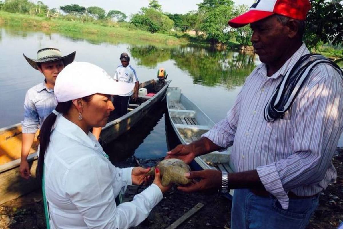 Directora de la CAS, Flor María Rangel Guerrero, visitó la ciénaga Paredes, uno de los humedales más importantes del Magdalena Medio Santandereano. (Foto: Suministrada/VANGUARDIA LIBERAL)
