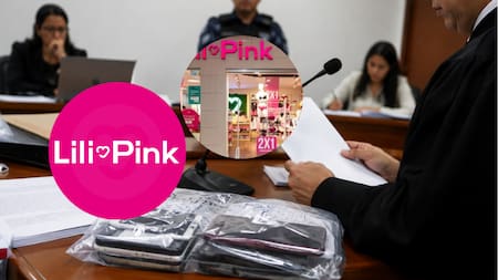 Juez declara ilegales nuevas pruebas en el caso Lili Pink: esto argumentó el despacho