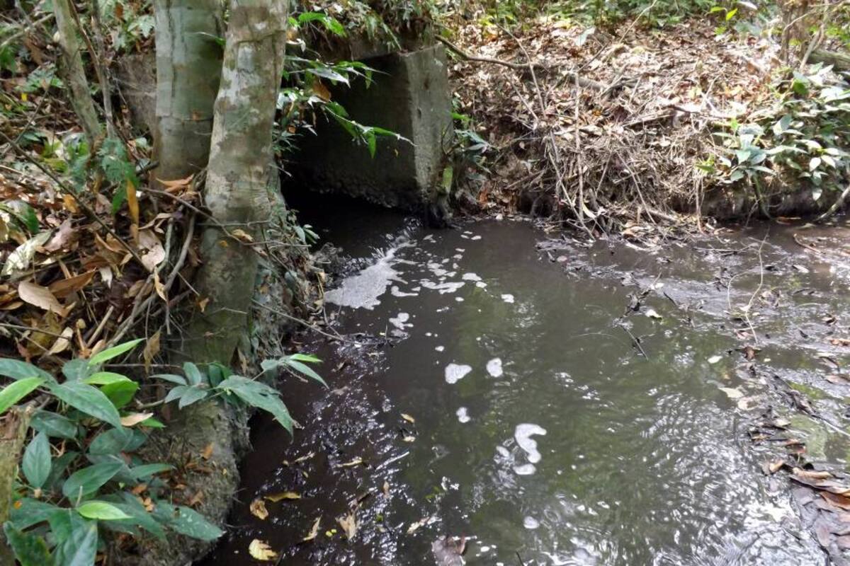 Ayer la CAS oficializó la orden de suspensión inmediata de todas las actividades de vertimiento a la Empresa procesadora de aceite Oro Rojo, que opera en el municipio de Sabana de Torres. (Foto: Suministrada/VANGUARDIA LIBERAL)