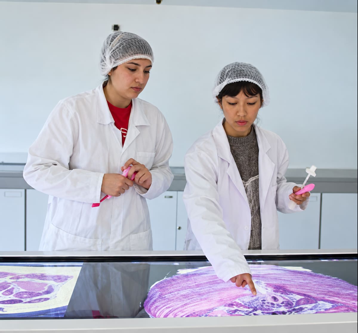 Catalina Peñaloza y Eliana Manzano desarrollaron EVVA, una propuesta que busca facilitar y hacer más autónomos los procesos de rehabilitación del suelo pélvico femenino.