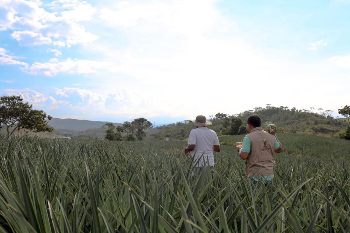 La Unidad de Restitución de Tierras se convierte en gestor catastral. //Colprensa - Foto cortesía IGAC.
