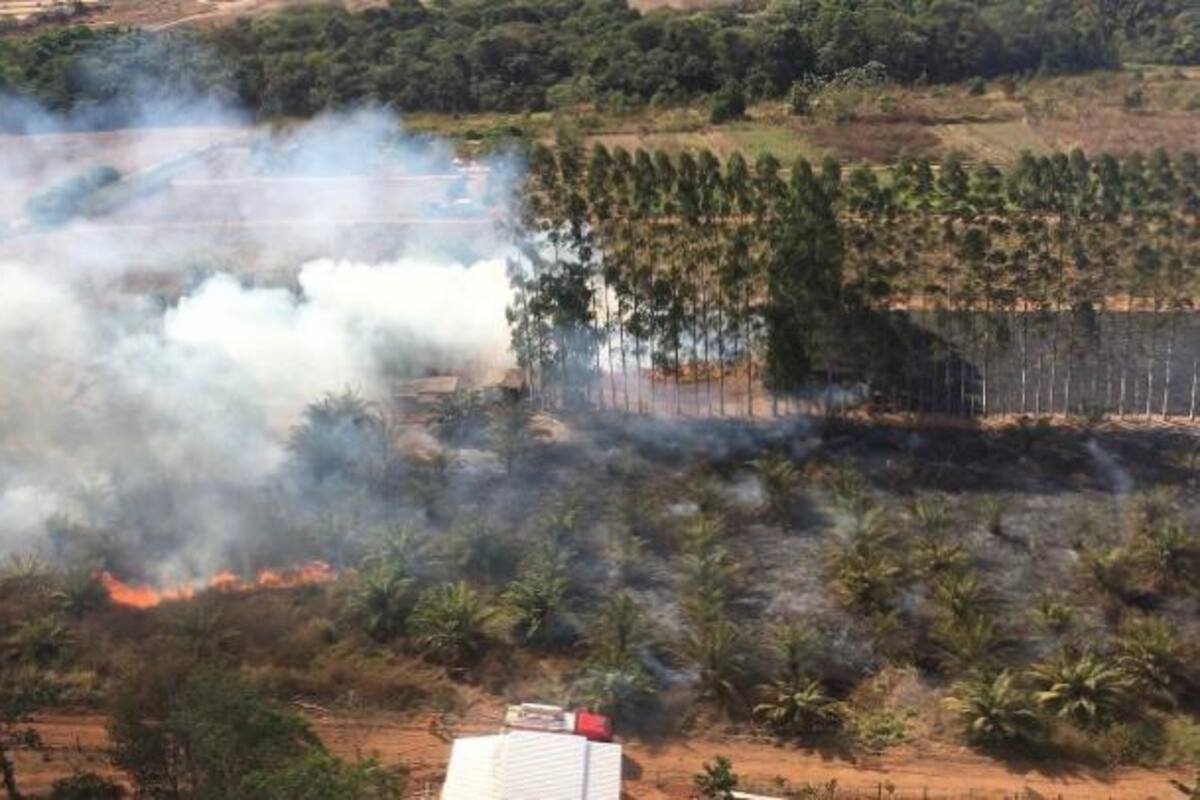 Fotografiá cedida por el cuerpo de Bomberos del estado de Mato Grosso que muestra una vista general aérea de las llamas que consumen el Pantanal, en Mato Grosso. . / EFE