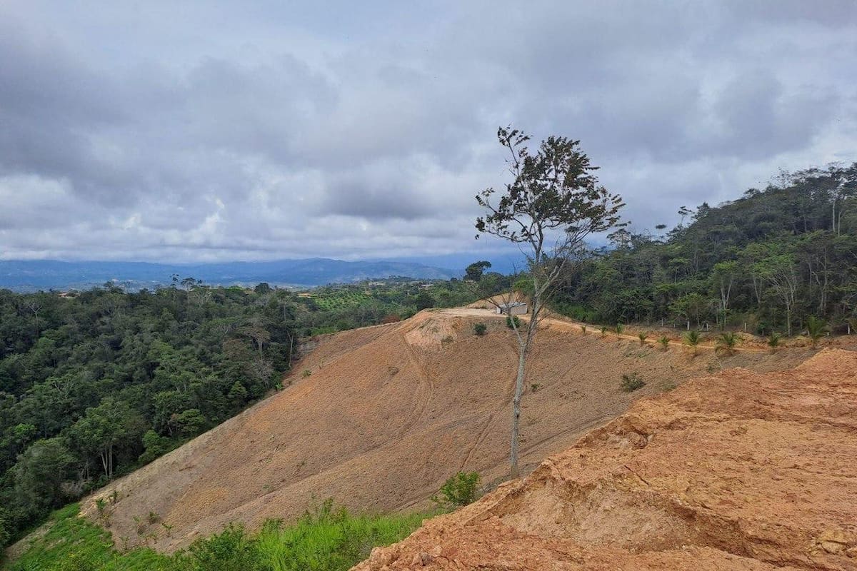 La autoridad encontró viviendas y caminos construidos en este predio, con clasificación de "Conservación y Protección Ambiental", el cual incluye bosque seco tropical, rondas de protección hídrica y restauración ecológica. (Foto: suministrada / VANGUARDIA)