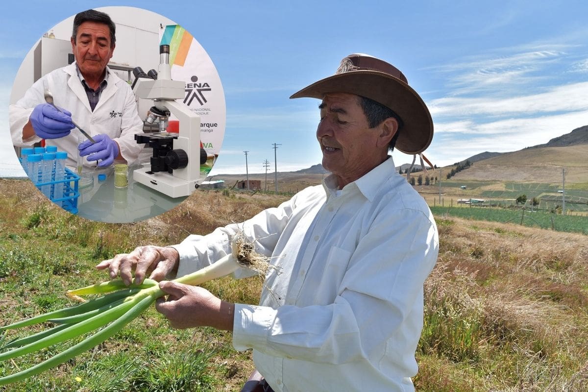 Tomada de Internet/Vanguardia