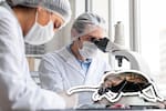 Chagas y derrames cerebrales: el hallazgo de investigadores de la UIS en Santander