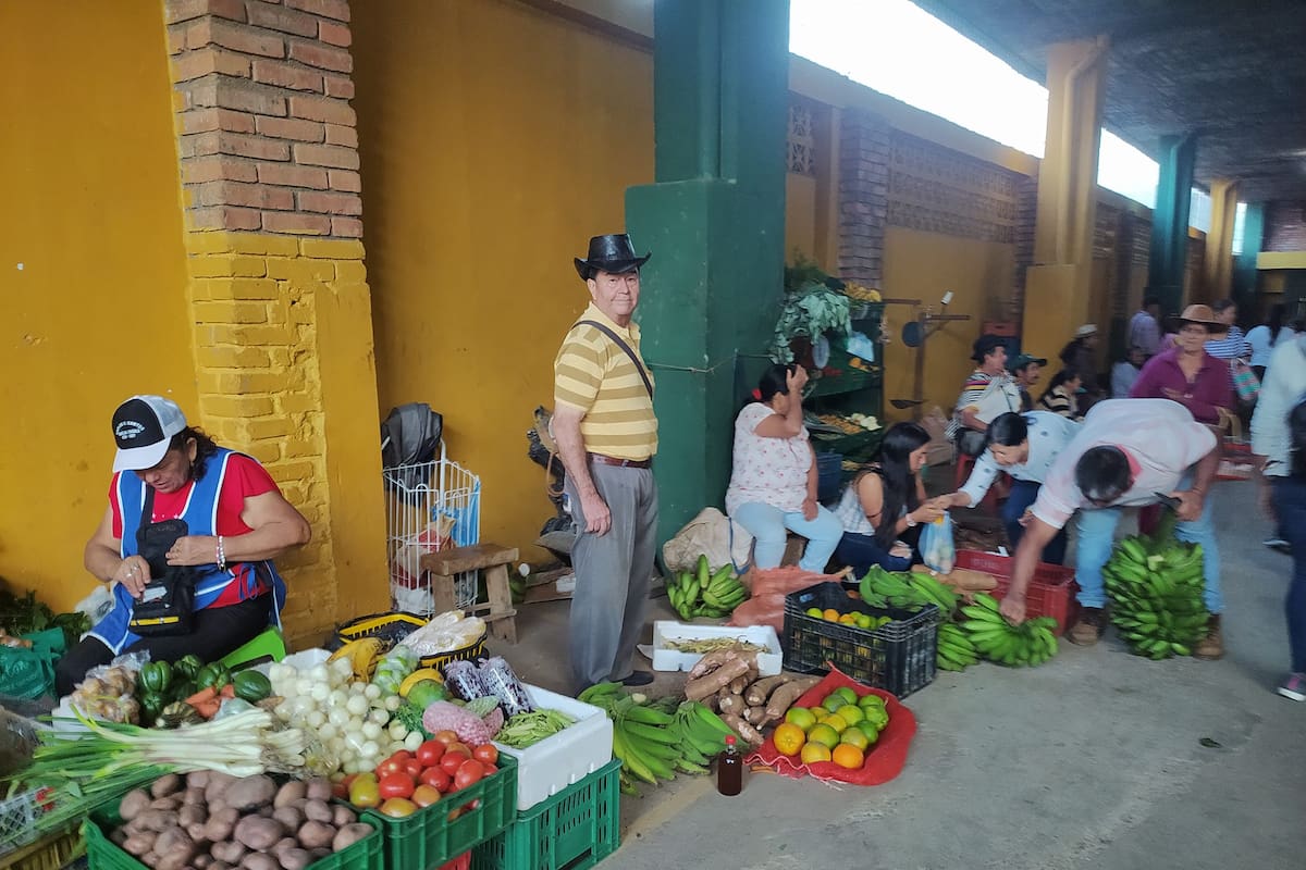 Un proyecto elaborado por el municipio calcula una inversión de $3.500 millones.