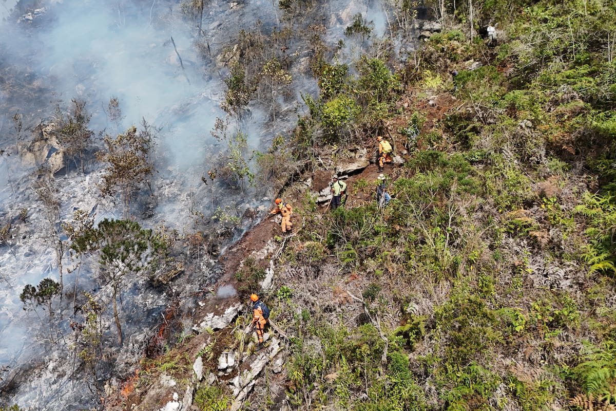 Cinco cuerpos de bomberos de Soto Norte, con apoyo de la Defensa Civil y la comunidad, trabajan para contener las llamas en Charta. / Foto: Suministrada - Vanguardia
