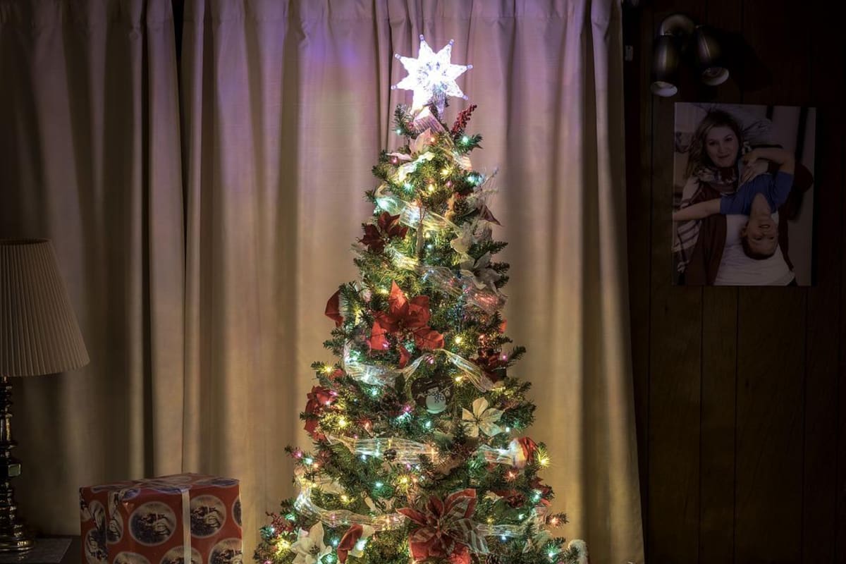 Banco de imágenes gratuito Pixabay. | VANGUARDIA