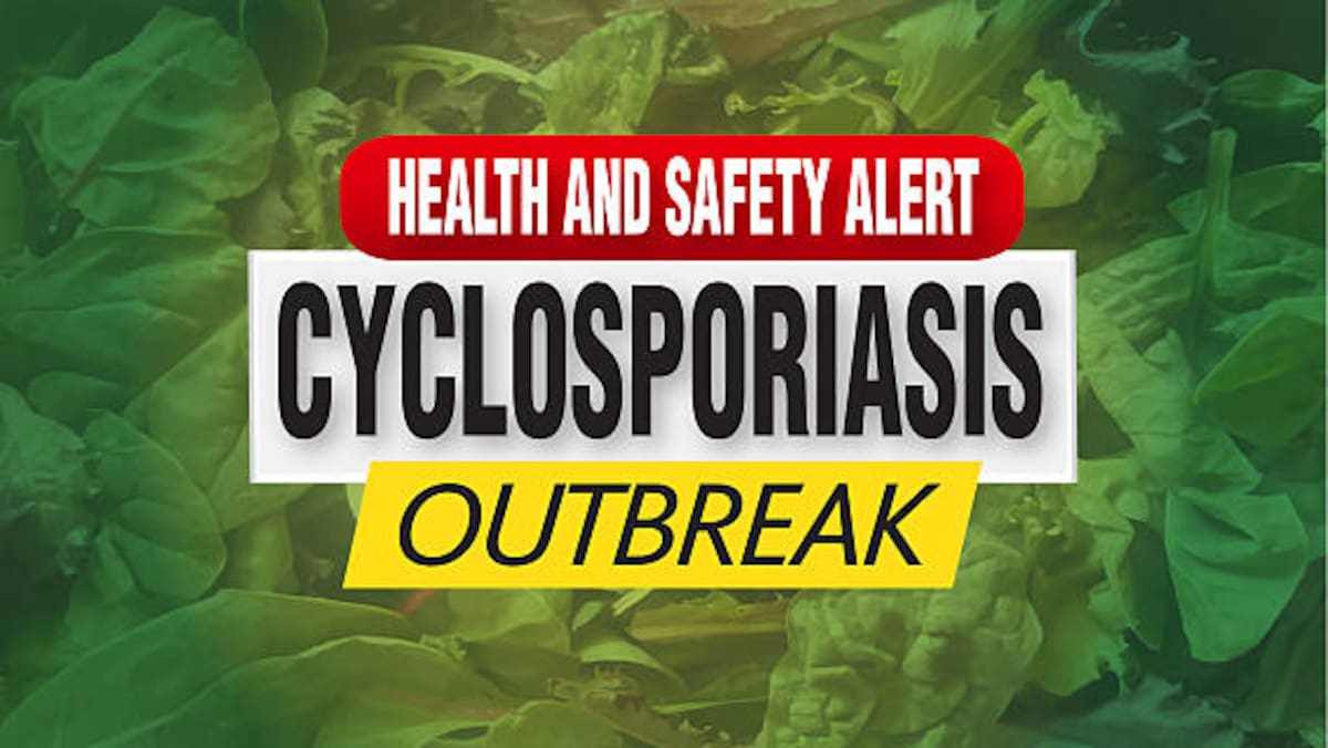 Especialistas en seguridad alimentaria examinan muestras para detectar la presencia de Cyclospora. La dificultad para identificar el parásito en los alimentos y su resistencia a los métodos de desinfección convencionales representan un desafío significativo para los sistemas de salud pública en Estados Unidos.