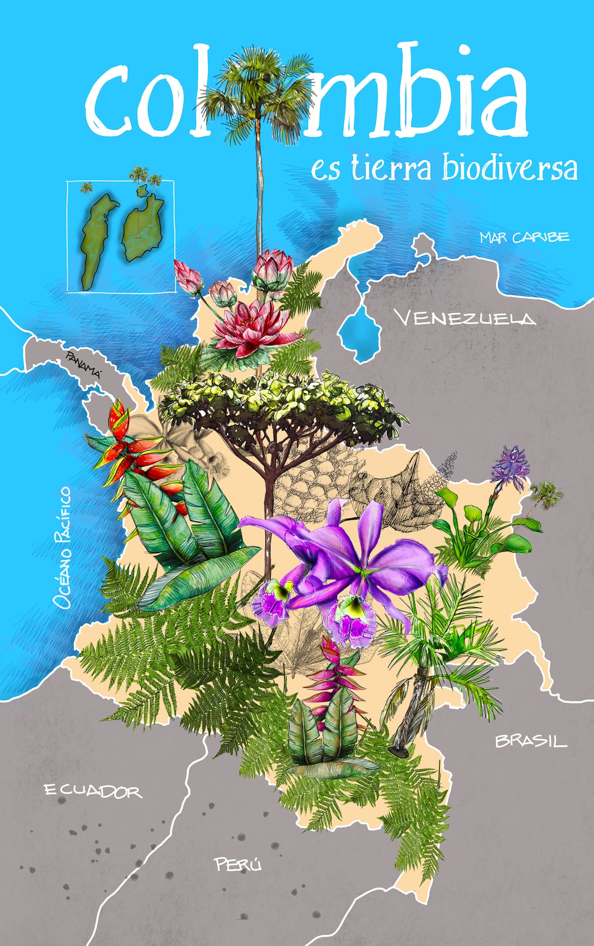 ‘Cielo del Guacahayo’, la exposición sobre la biodiversidad de Colombia que llega a Bucaramanga. Foto suministrada/VANGUARDIA