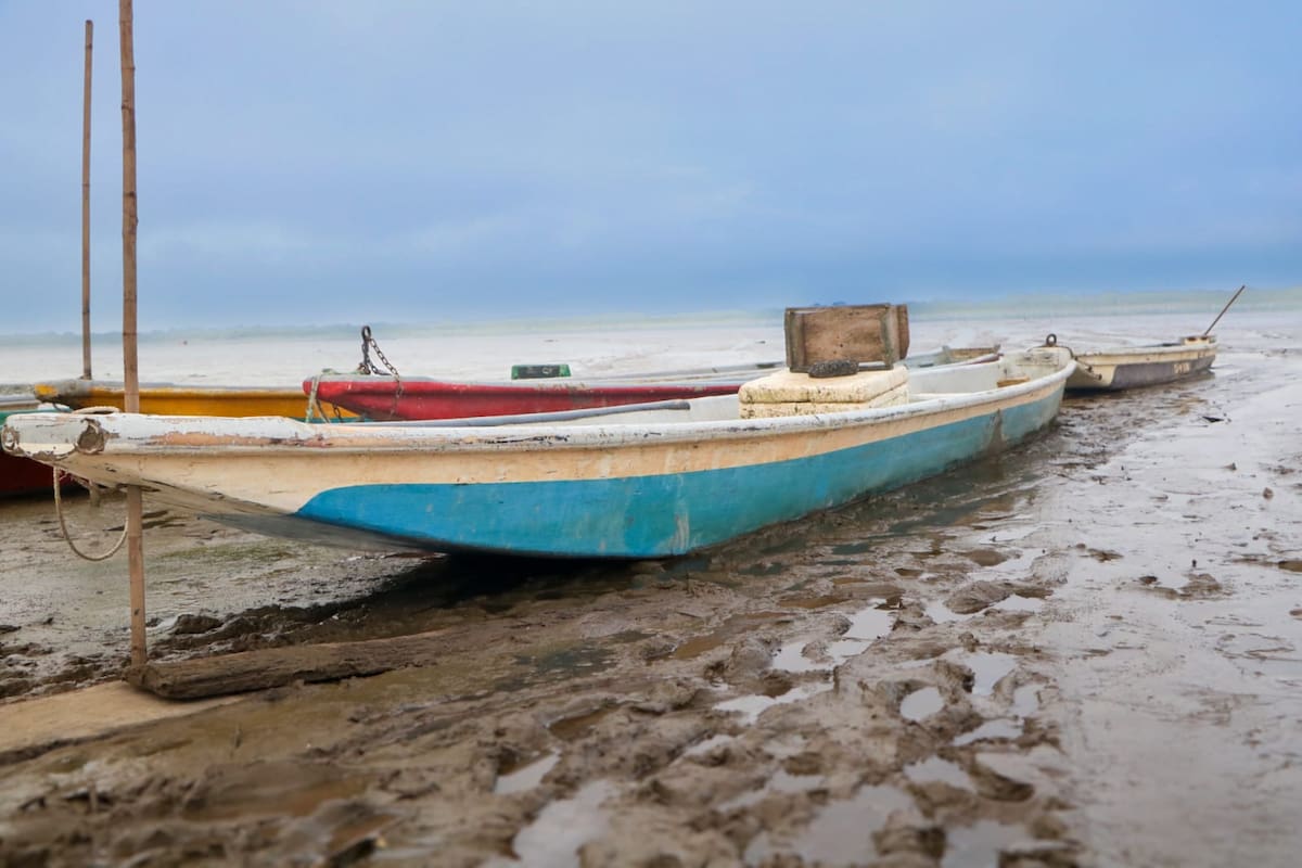 Grandes playas de arena y lodo empiezan a formarse en la ciénaga El Llanito de Barrancabermeja (Suministrada / Vanguardia)