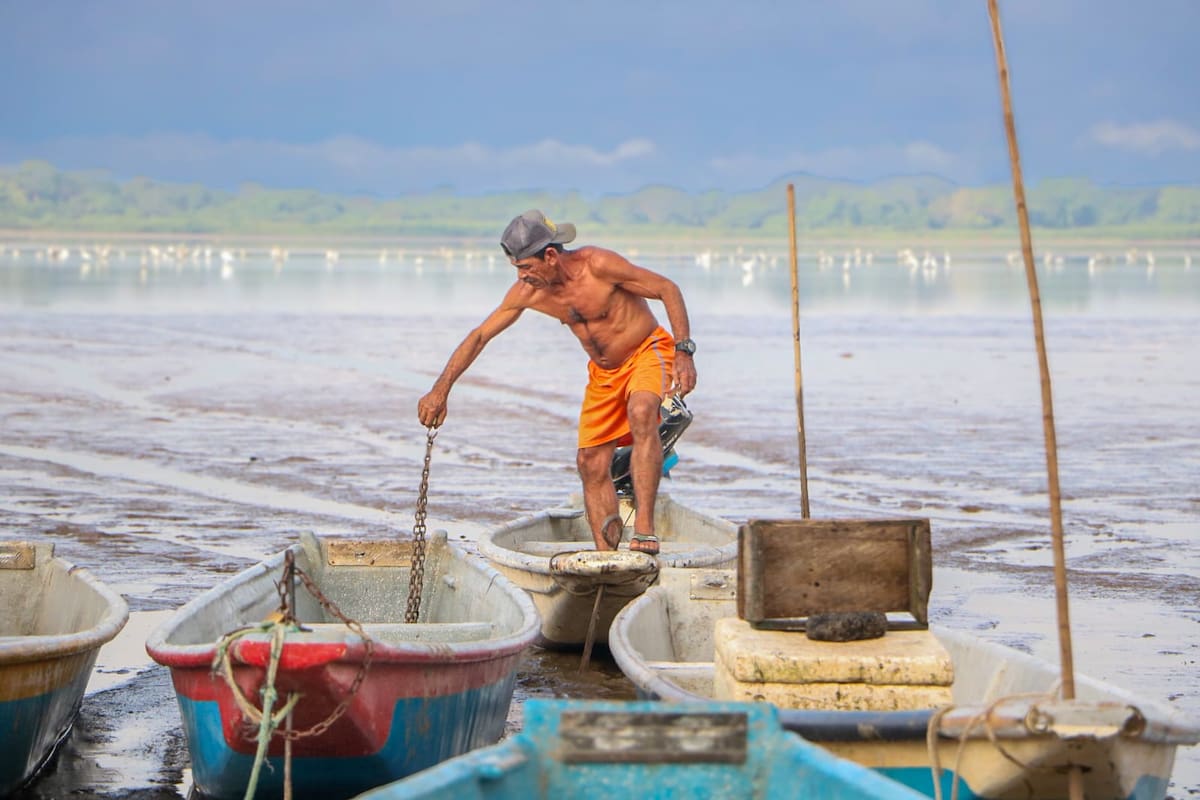 Grandes playas de arena y lodo empiezan a formarse en la ciénaga El Llanito de Barrancabermeja (Suministrada / Vanguardia)