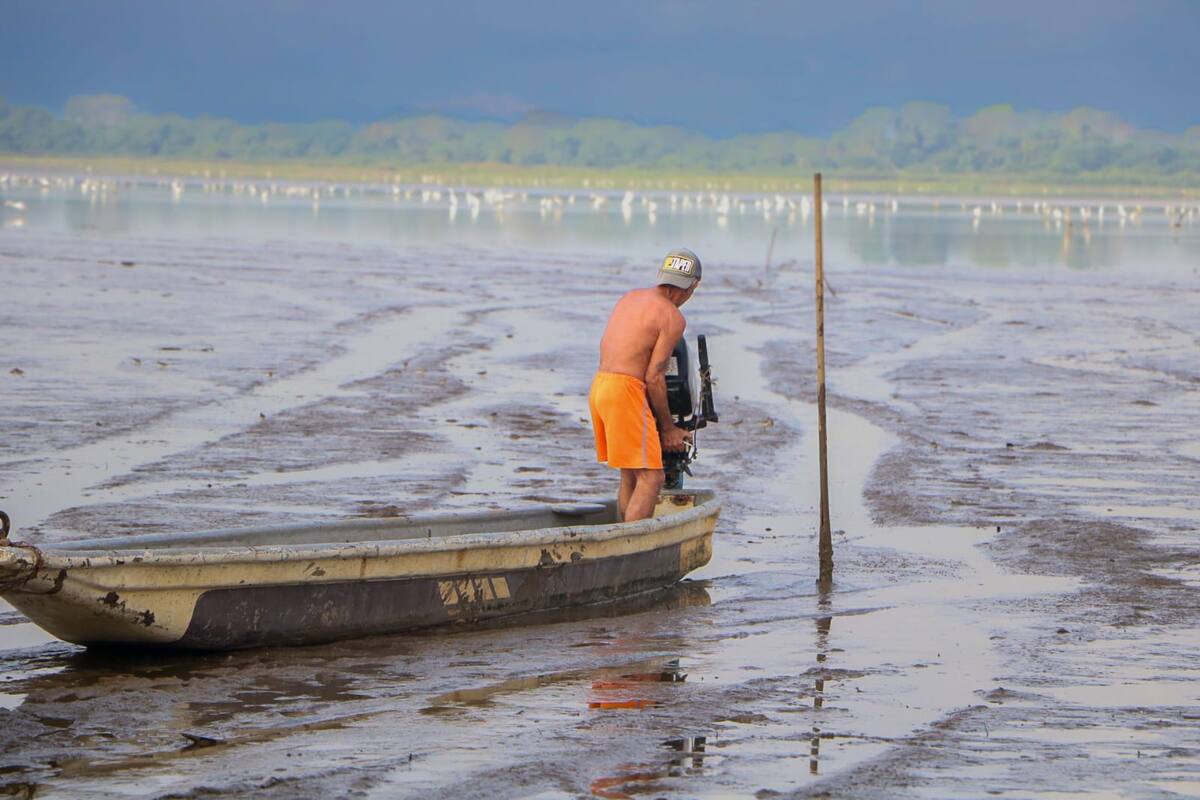 Grandes playas de arena y lodo empiezan a formarse en la ciénaga El Llanito de Barrancabermeja (Suministrada / Vanguardia)