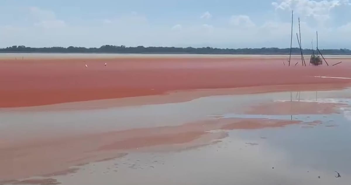La inusual coloración rojiza que presentó la ciénaga El Llanito durante el fin de semana despertó preocupación entre las comunidades pesqueras, que esperan estudios científicos para determinar el origen del fenómeno.
Suministrada/Vanguardia