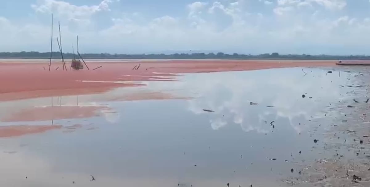 La inusual coloración rojiza que presentó la ciénaga El Llanito durante el fin de semana despertó preocupación entre las comunidades pesqueras, que esperan estudios científicos para determinar el origen del fenómeno.
Suministrada/Vanguardia