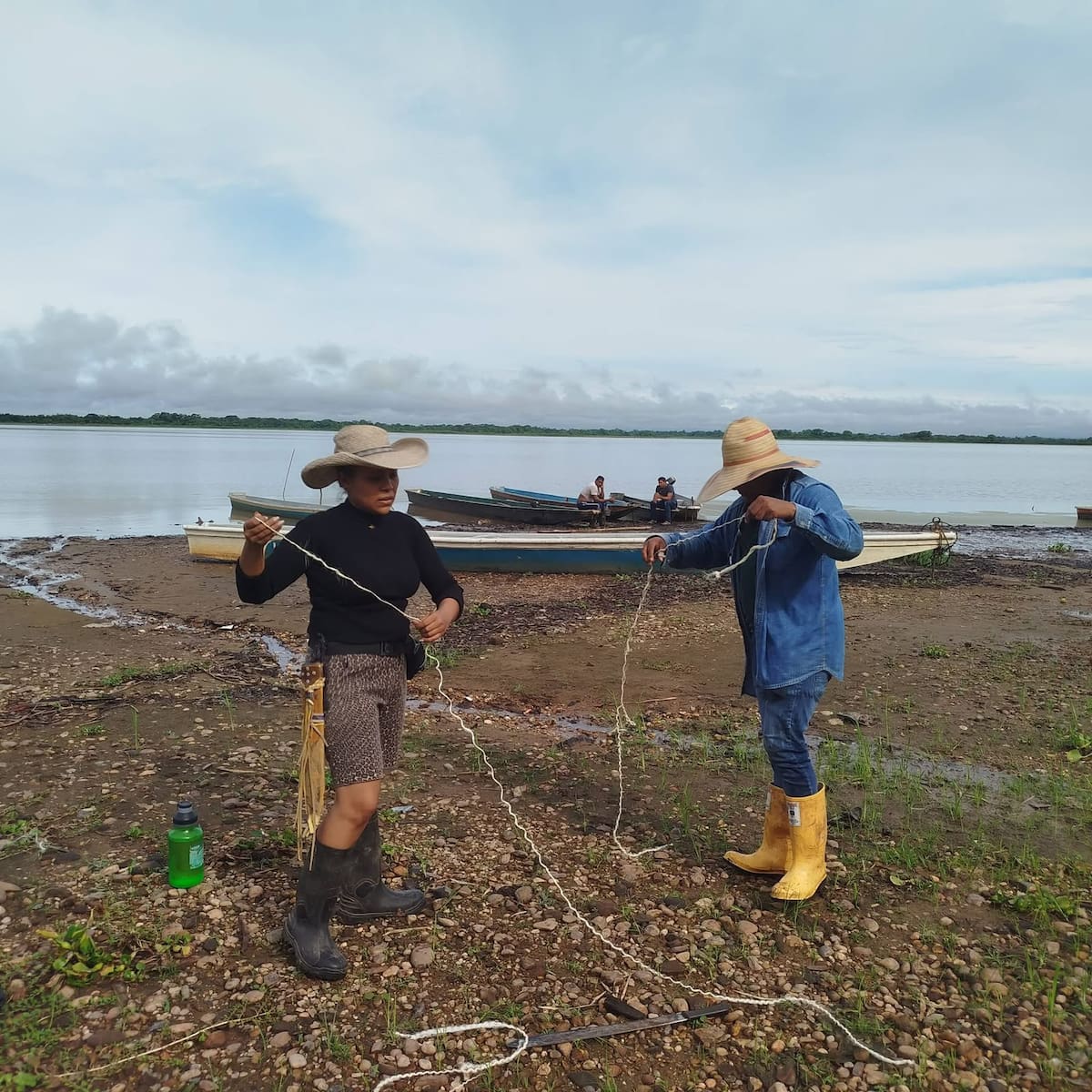 Pescadores de Barrancabermeja y Puerto Wilches alertaron sobre el riesgo que corren manatíes ante el descenso en los niveles de agua en las ciénagas El Llanito y Paredes.