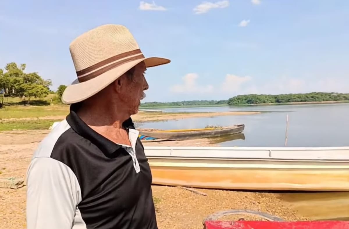 Pescadores de Barrancabermeja y Puerto Wilches alertaron sobre el riesgo que corren manatíes ante el descenso en los niveles de agua en las ciénagas El Llanito y Paredes.