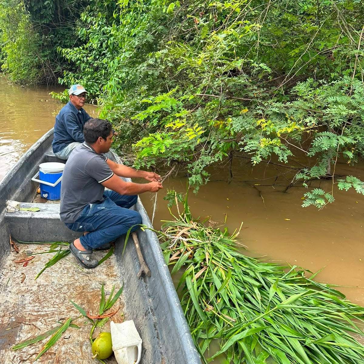 Pescadores de Barrancabermeja y Puerto Wilches alertaron sobre el riesgo que corren manatíes ante el descenso en los niveles de agua en las ciénagas El Llanito y Paredes.