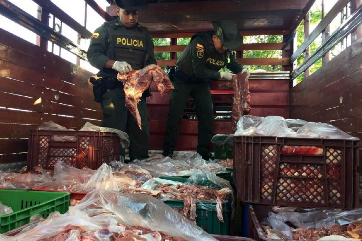 Otra violación cometidas es que, tal matadero, operaba sobre un terreno clasificado por Cdmb como de protección especial. (Foto: Archico /VANGUARDIA LIBERAL)