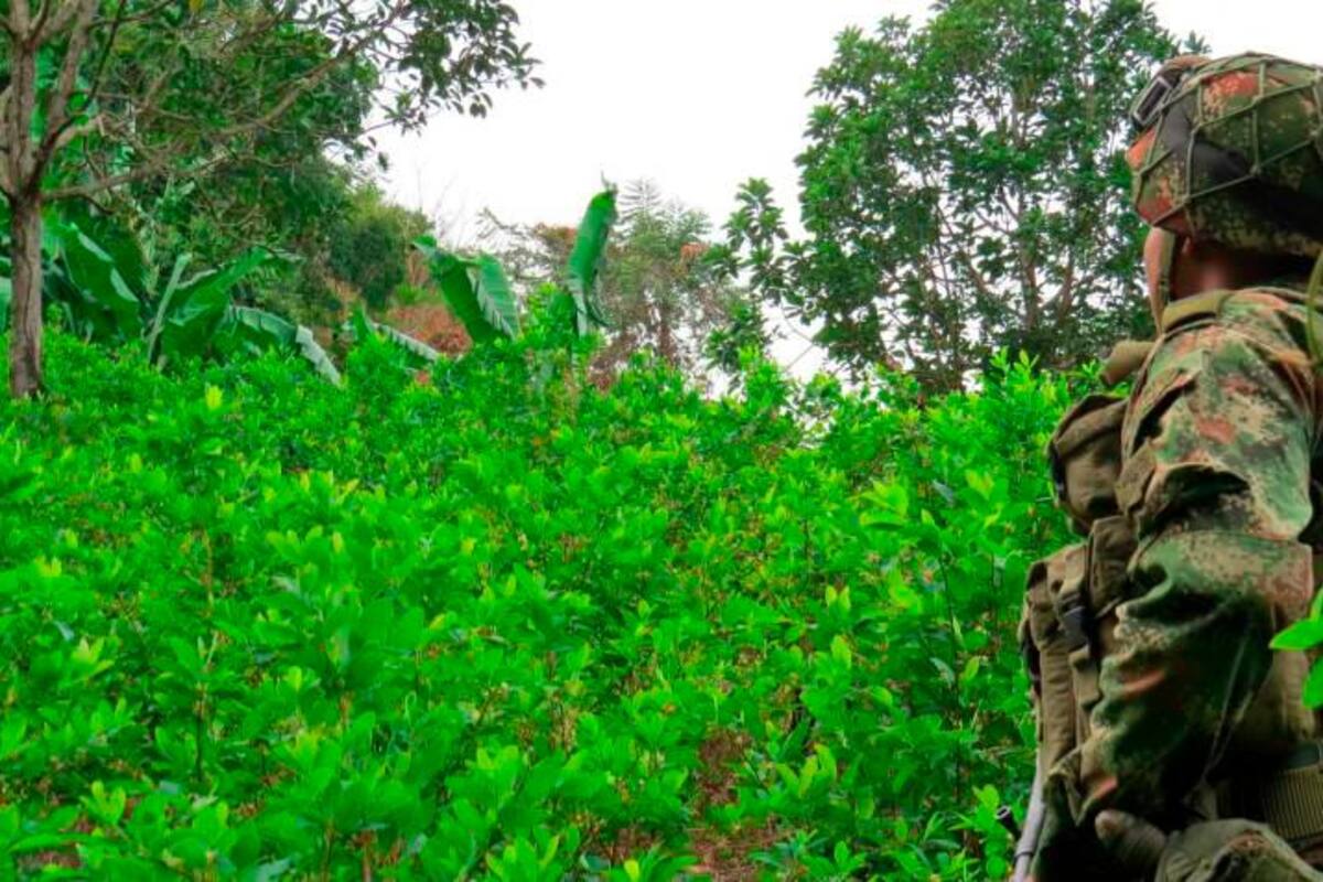 Archivo / VANGUARDIA