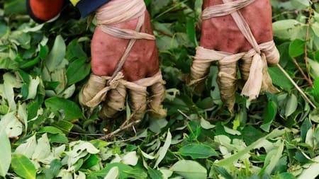 Colombia exporta más cocaína que petróleo desde 2024: informe de The Economist