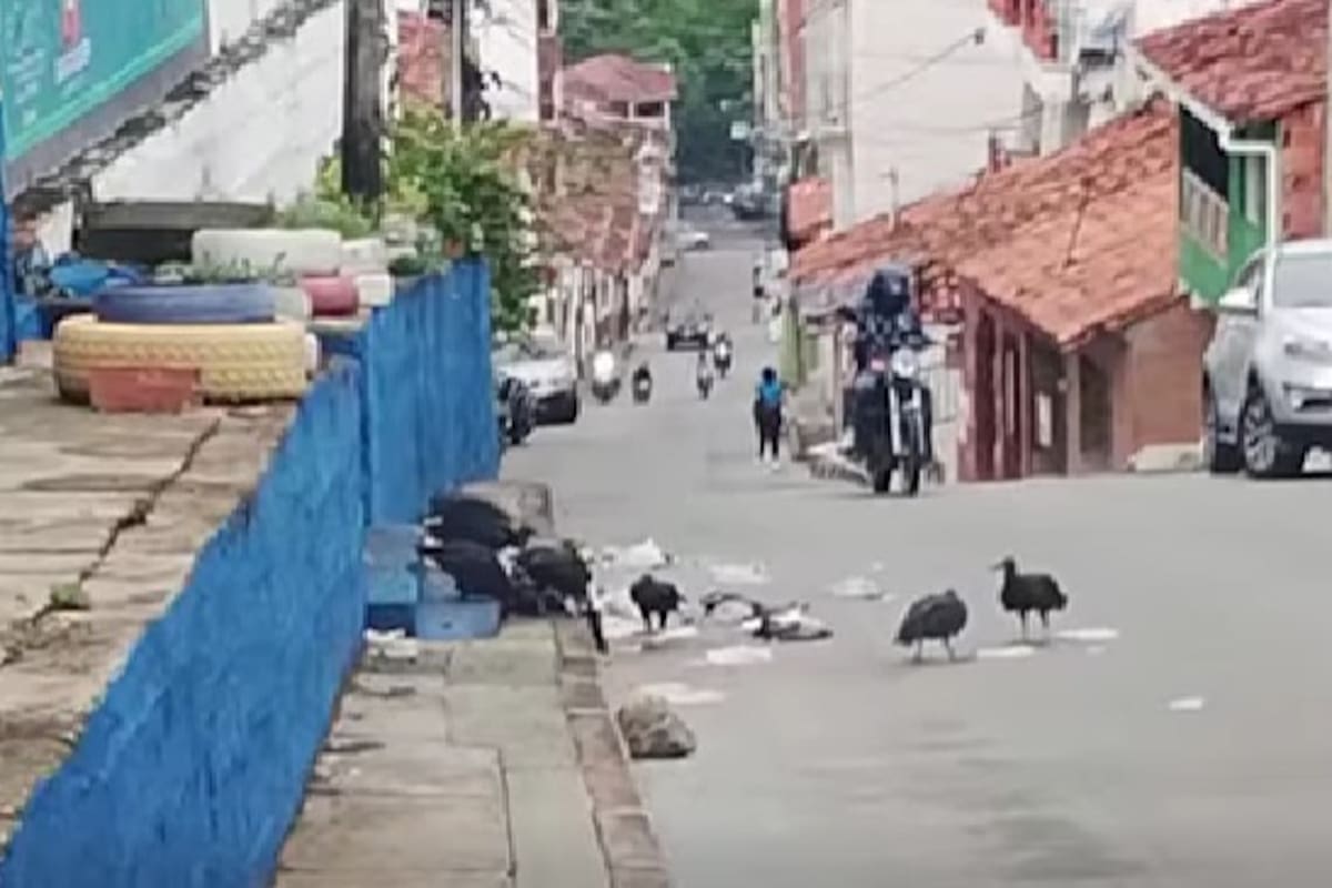 La situación se presenta en la calle 9 entre carreras 7 y 8.