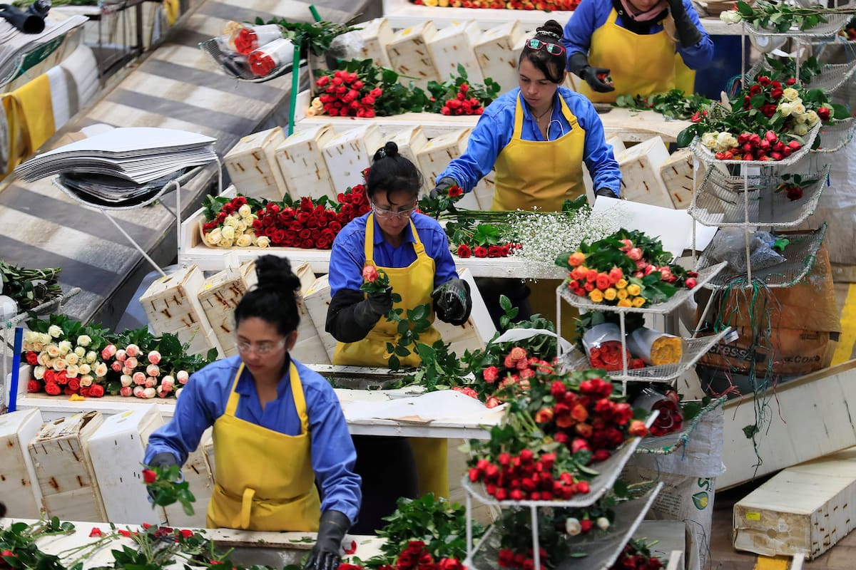 Colombia busca negociar con EE.UU. la disminución o eliminación del arancel del 10 %. // Foto: EFE/ Carlos Ortega