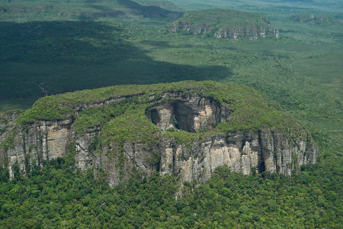 Colombia entra en lista de países con “riesgo estándar” por deforestación ante la Unión Europea. Foto: MinAgricultura
