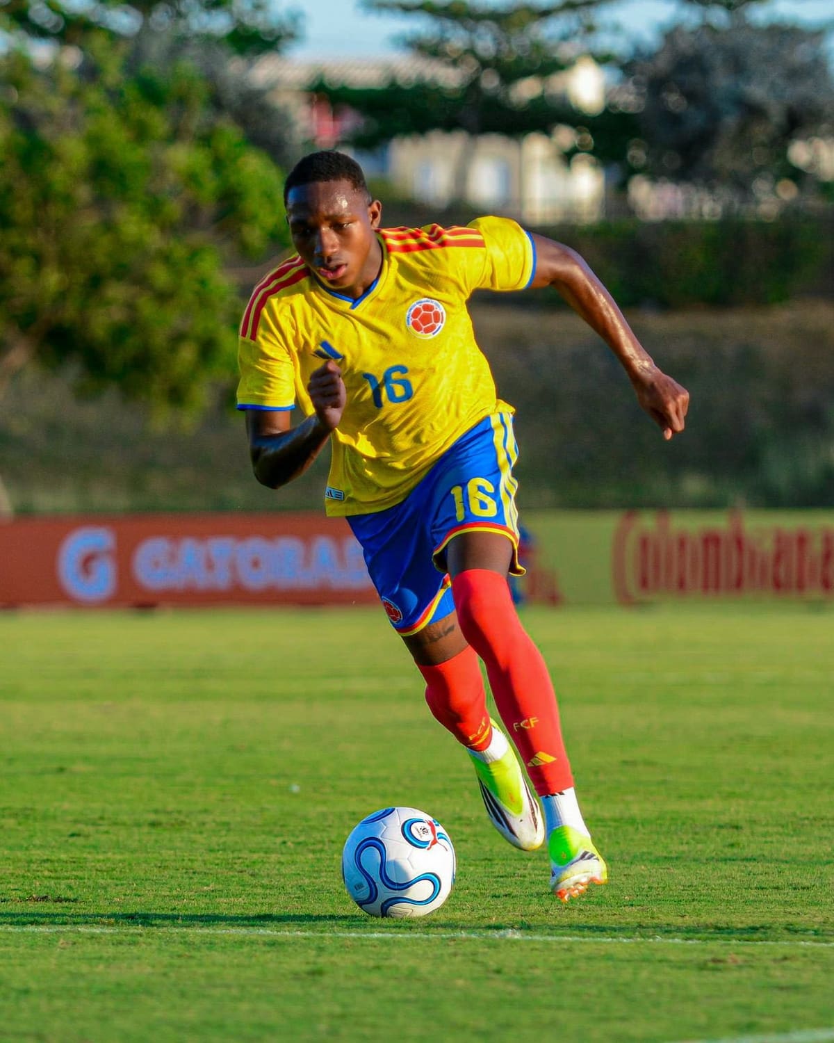 Colombia vs. Ecuador: hora y por dónde ver el debut de la selección en el Sudamericano Sub-17. Foto: FCF